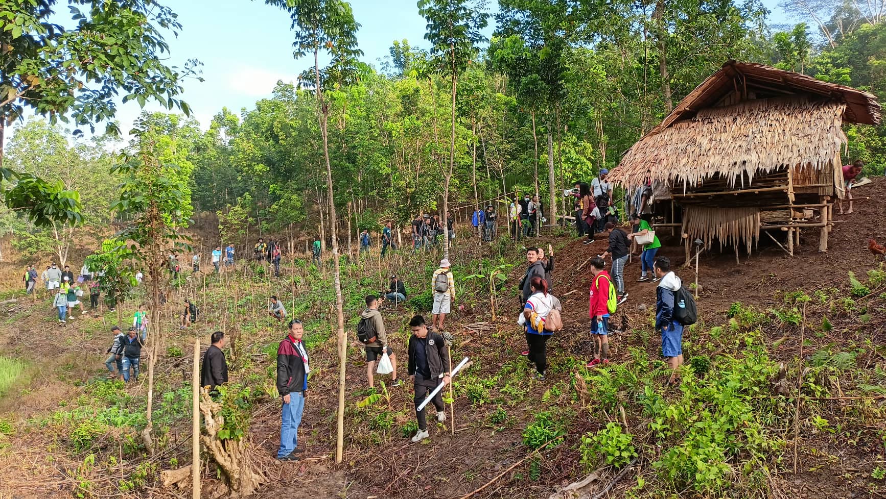 Participants making their way up a planted hillside past a thatched field shelter